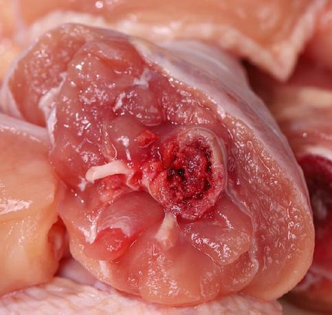 鸡肉是红色正常吗缩略图