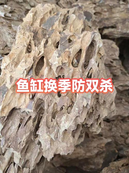鱼缸双杀用什么药效果最好用图标