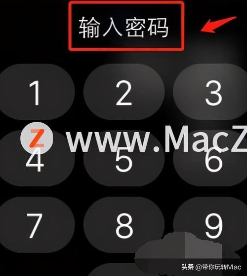 苹果手表原id密码是什么图标