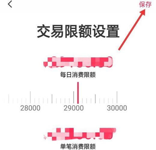 京东白条云闪付限额游戏截图
