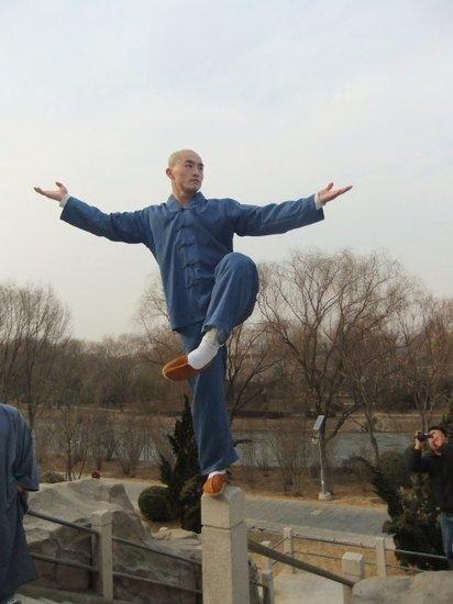 娇艳江湖一龙群芳的小说图标