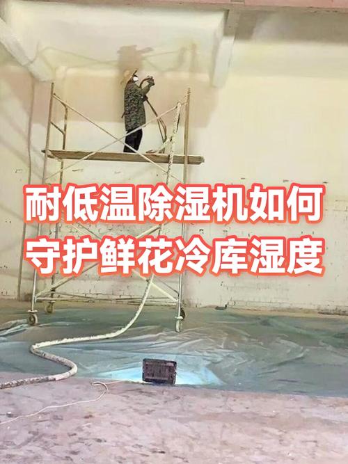 冷库除湿最好的方法缩略图