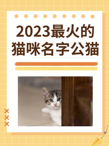 女猫咪名字大全洋气图标