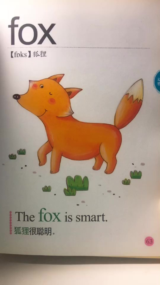 狐狸英语除了叫fox还叫什么缩略图