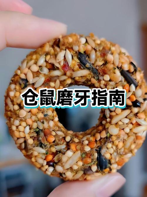 大仓鼠好养还是小仓鼠好养缩略图