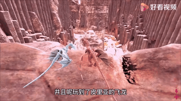 方舟生存进化怎么孵飞龙蛋图标