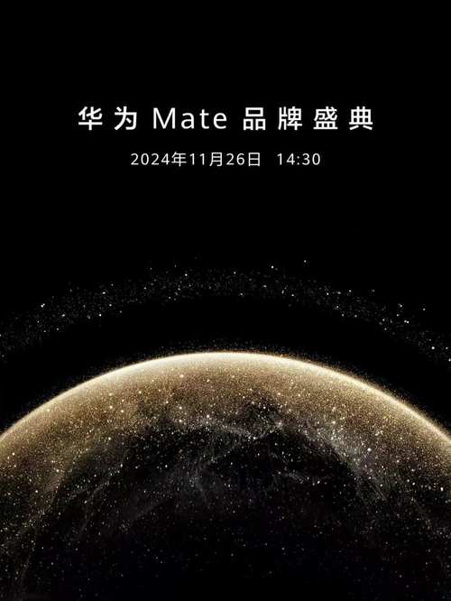 华为手机有的网站打不开怎么设置游戏截图