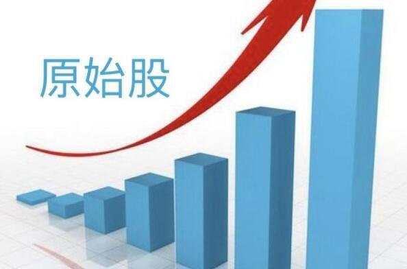 公司上市后原始股肯定赚钱吗图标