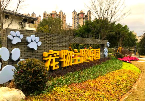 qq空间有一个宠物养成游戏图标
