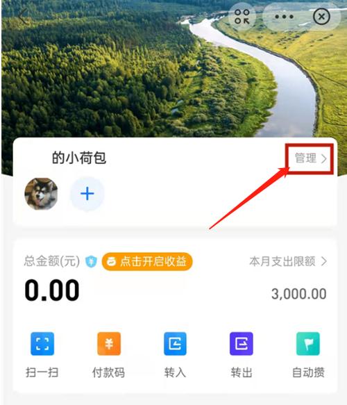 支付宝付钱可以设置限额吗图标