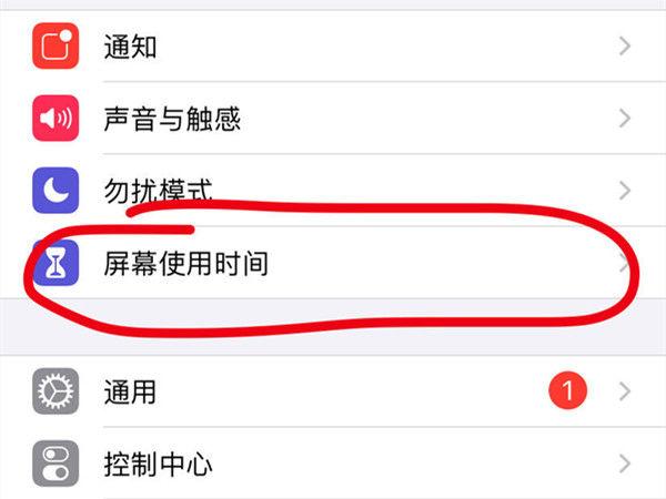 苹果手机访问限制设置方法图标