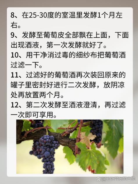 一斤葡萄能酿多少葡萄酒缩略图