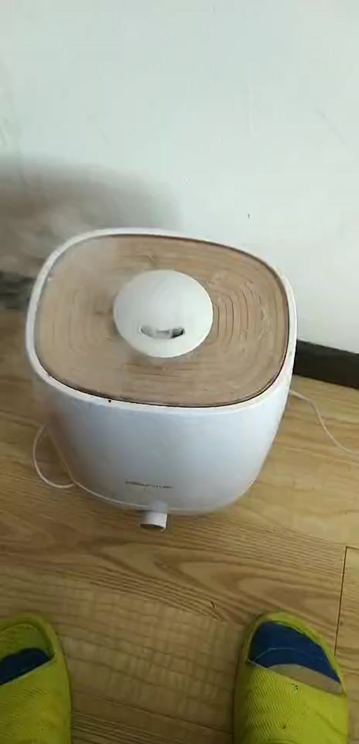 加湿器一开就嗡嗡响游戏截图