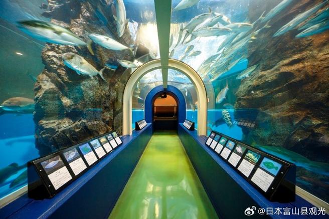 水族馆历史图标