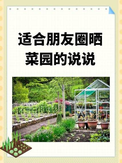 女孩朋友圈从三天变为一个月