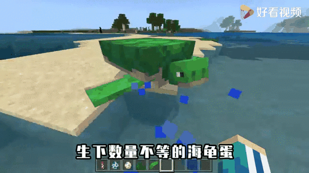 mc海龟蛋孵化条件缩略图
