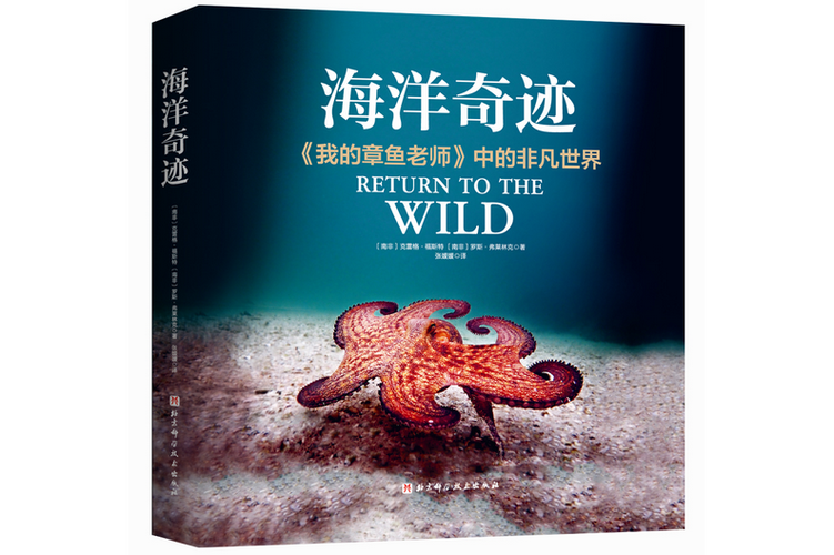 海洋世界纪录片图标