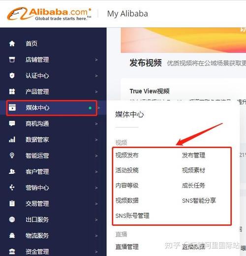 阿里巴巴产品视频怎么保存游戏截图