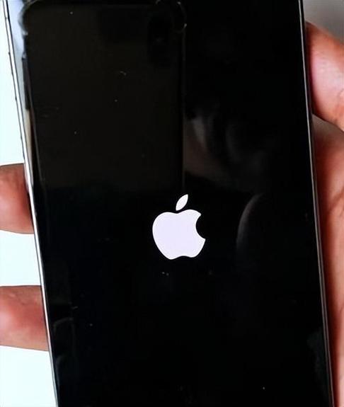苹果手机突然黑屏,开不了机缩略图