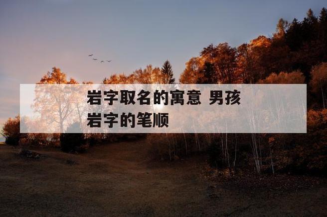 岩字最旺男孩名字图标