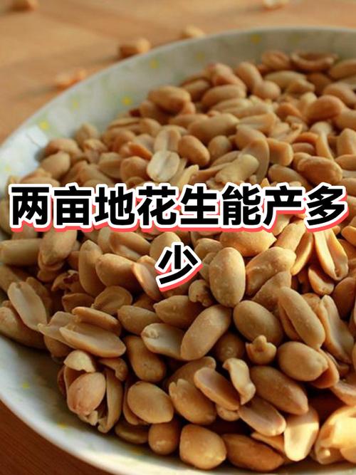 花生亩产量一般能达到多少游戏截图