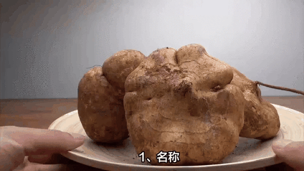 地瓜和番薯的区别是什么