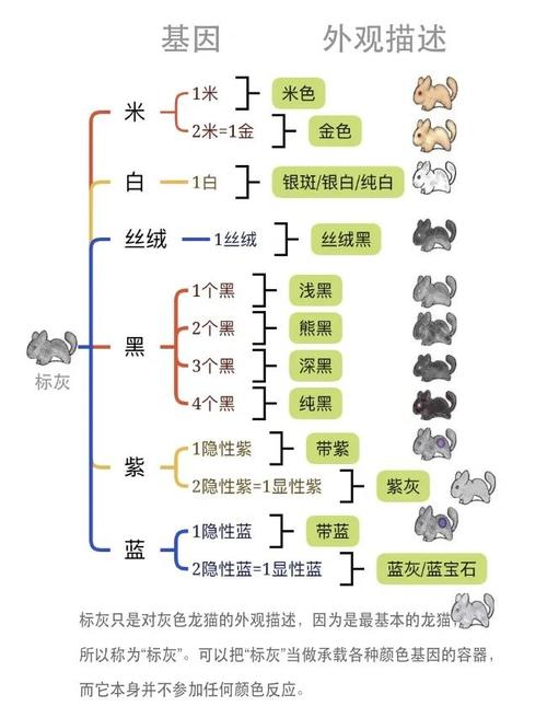 遗失的记忆宠物品质颜色图标