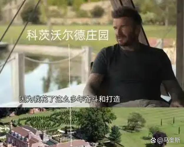 富豪庄园一天能赚多少钱图标