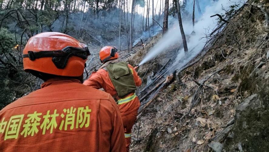 119消防员真实救火视频