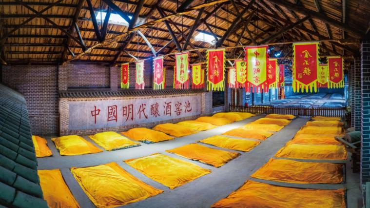 中国窖池排名一览表游戏截图