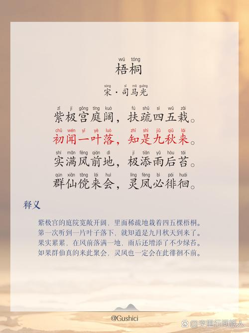 梧桐树下全文免费阅读