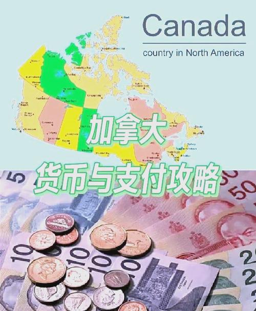 加元兑换人民币汇率游戏截图