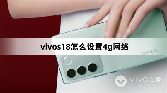 vivo手机如何设置4g网络优先缩略图