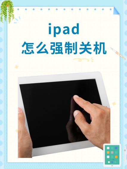ipad长按home键设置