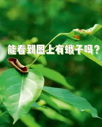 抖音怎么关定位不让别人看见我位置