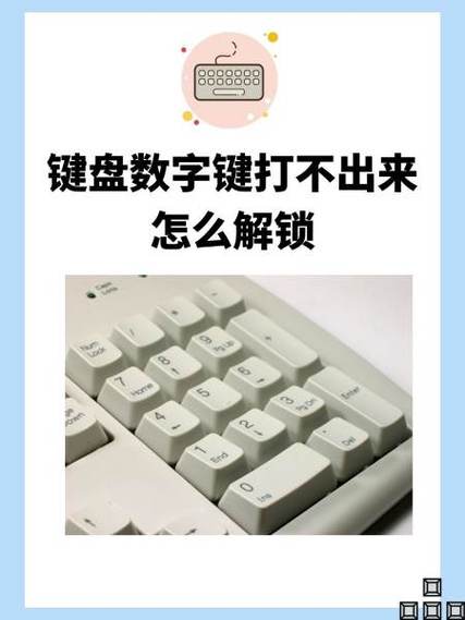 手机键盘数字键出不来咋回事缩略图
