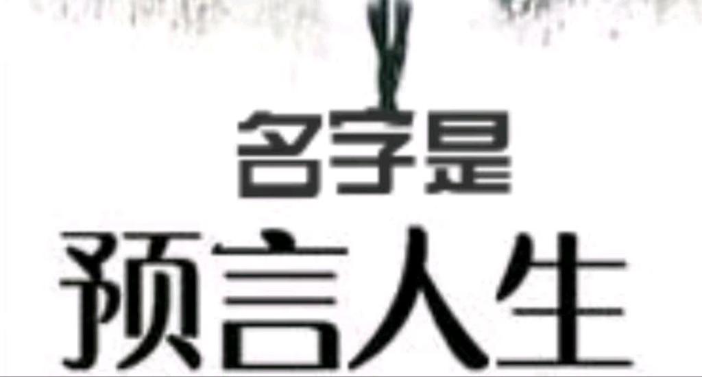 公司测名字免费测试缩略图