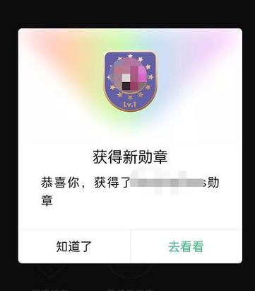 勋章 翻唱qq音乐游戏截图