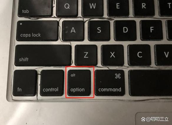 苹果电脑按option没反应的解决方法