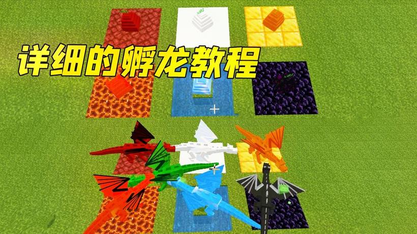 我的世界手机版龙蛋怎么孵化 教程图标