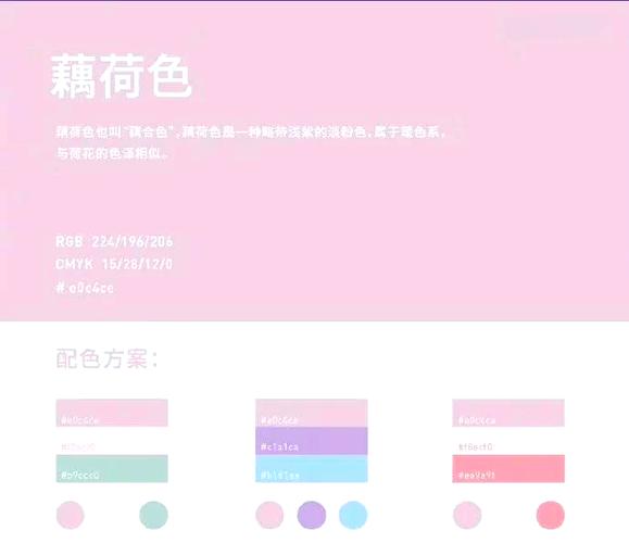 原始灰和黄化哪个好养缩略图