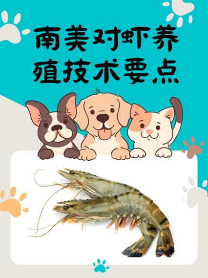 对虾怎么养殖需要什么条件缩略图