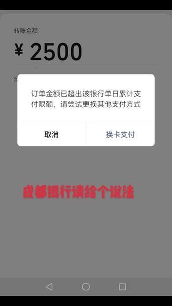 支付宝扫收款码付款限额是多少游戏截图