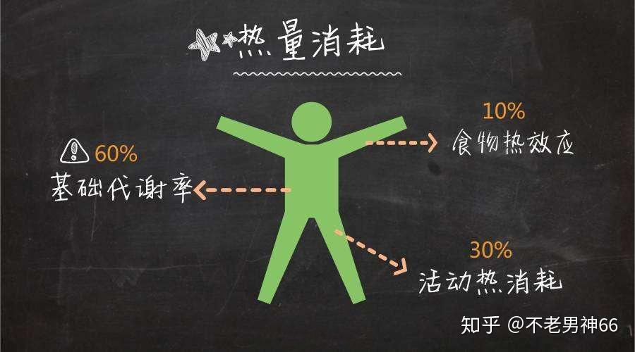 热量计算公式的应用场景缩略图