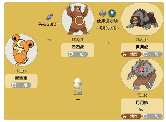 熊宝宝特性哪个好缩略图