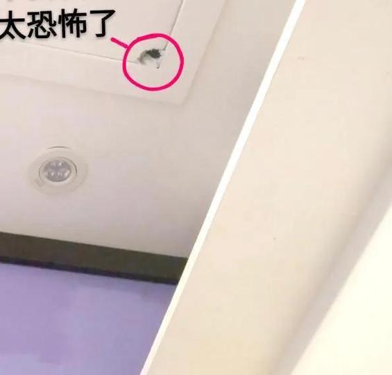 苹果11前置摄像头有红点在闪缩略图