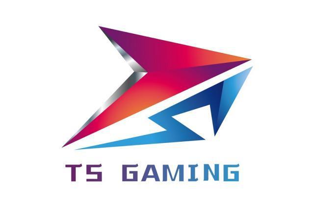Ts战队图标