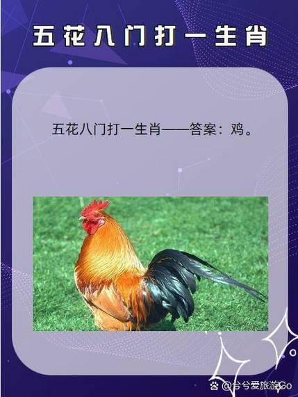 正确答案打一准确生肖