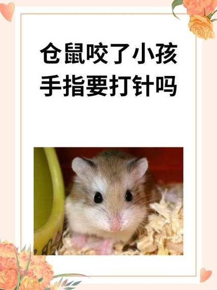 仓鼠丢了一晚上会乱咬吗