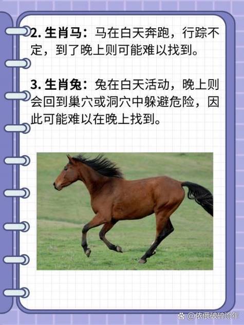 赏奇析疑打一生肖正确答案